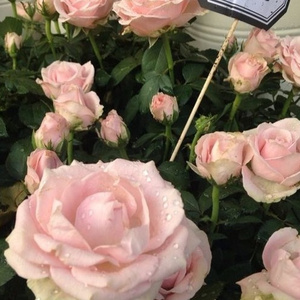 逼逼爱插插乐享网
