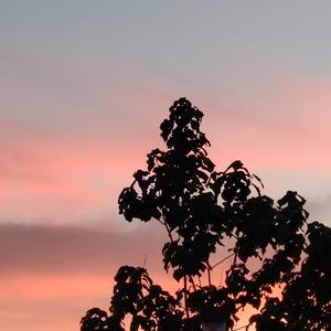 逼逼爱插插乐享网
